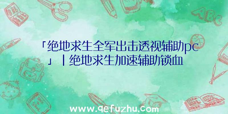 「绝地求生全军出击透视辅助pc」|绝地求生加速辅助锁血